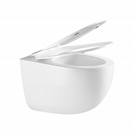 Подвесной унитаз безободковый Terminus Енисей Monolit 560х390 белый Химки - фото 7 Подвесной унитаз безободковый Terminus Енисей Monolit 560х390 белый Химки - фото 7