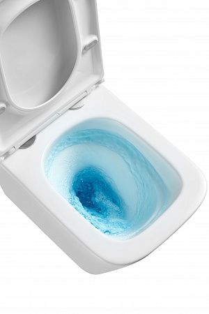 Подвесной унитаз безободковый Terminus Ватикан Monolit 490х340 белый Химки - фото 8 Подвесной унитаз безободковый Terminus Ватикан Monolit 490х340 белый Химки - фото 8