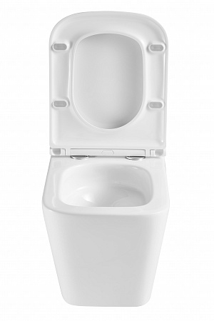 Подвесной унитаз безободковый Terminus Ватикан Monolit 490х340 белый Химки - фото 7 Подвесной унитаз безободковый Terminus Ватикан Monolit 490х340 белый Химки - фото 7