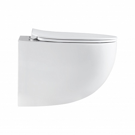 Подвесной унитаз безободковый Terminus Енисей Monolit 560х390 белый Химки - фото 4 Подвесной унитаз безободковый Terminus Енисей Monolit 560х390 белый Химки - фото 4