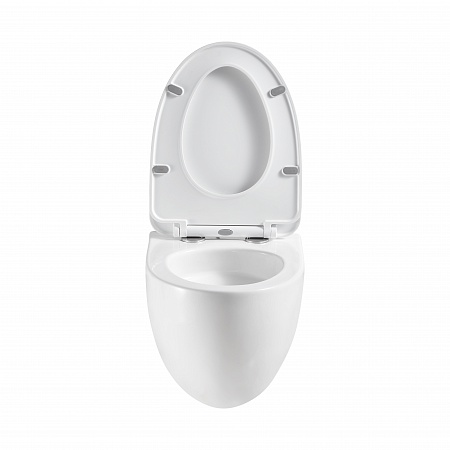 Подвесной унитаз безободковый Terminus Енисей Monolit 560х390 белый Химки - фото 5 Подвесной унитаз безободковый Terminus Енисей Monolit 560х390 белый Химки - фото 5