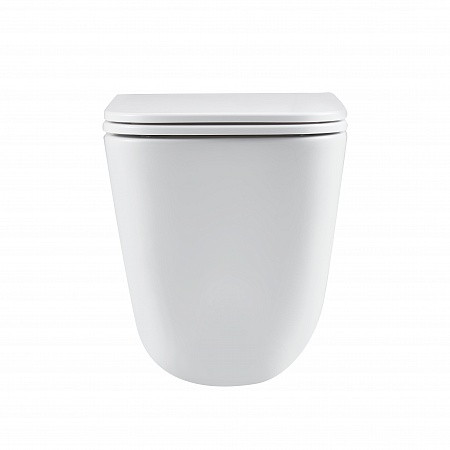 Подвесной унитаз безободковый Terminus Ватикан Monolit 490х340 белый Химки - фото 6 Подвесной унитаз безободковый Terminus Ватикан Monolit 490х340 белый Химки - фото 6