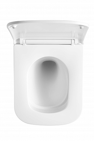 Подвесной унитаз безободковый Terminus Ватикан Monolit 490х340 белый Химки - фото 3 Подвесной унитаз безободковый Terminus Ватикан Monolit 490х340 белый Химки - фото 3